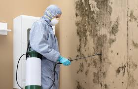 Best Biohazard Mold Removal  in Wanaque, NJ